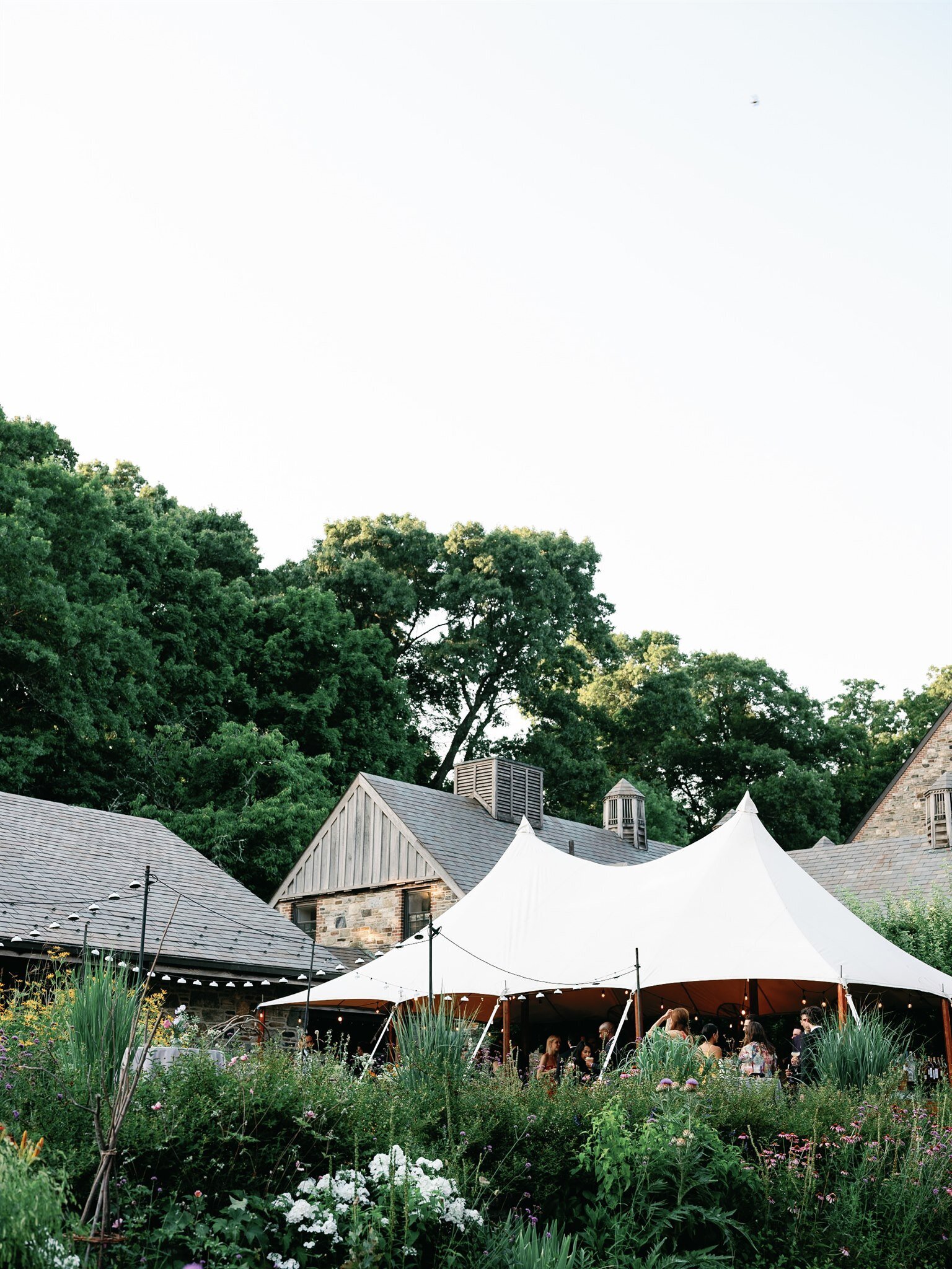 LaraDavid_Wedding_MollyMcCauley0679