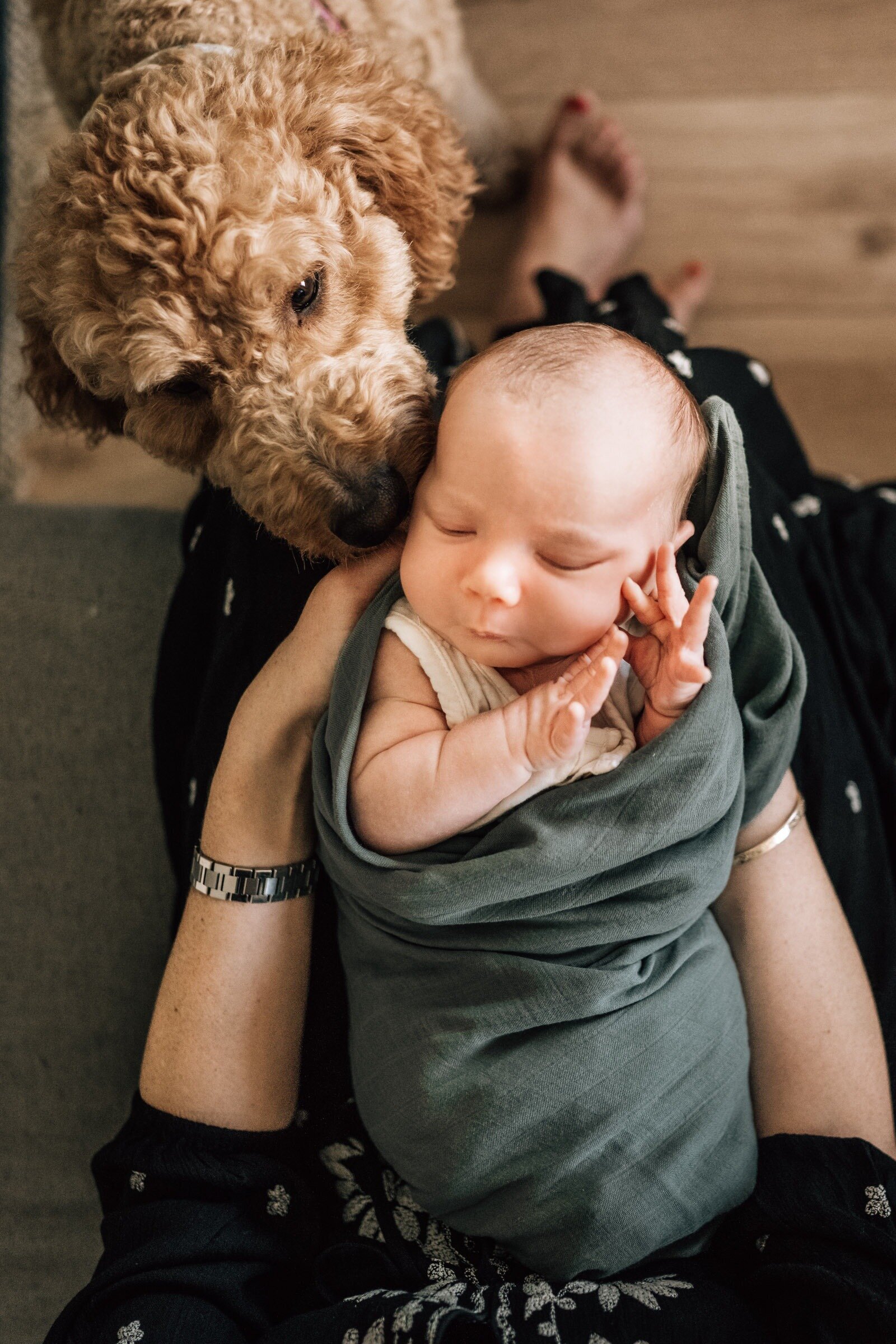 newborn-photography-albany-ny-6