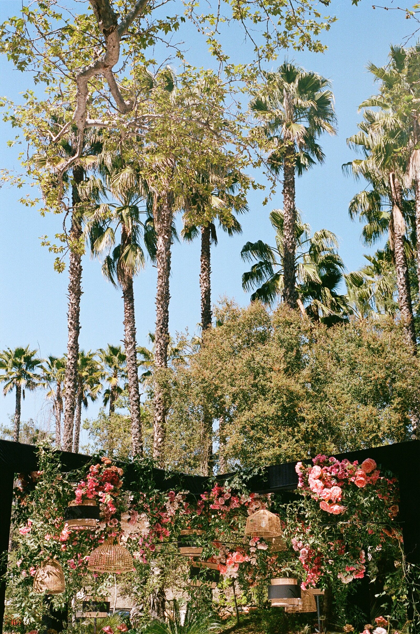 California-Wedding-Photographer- (67)