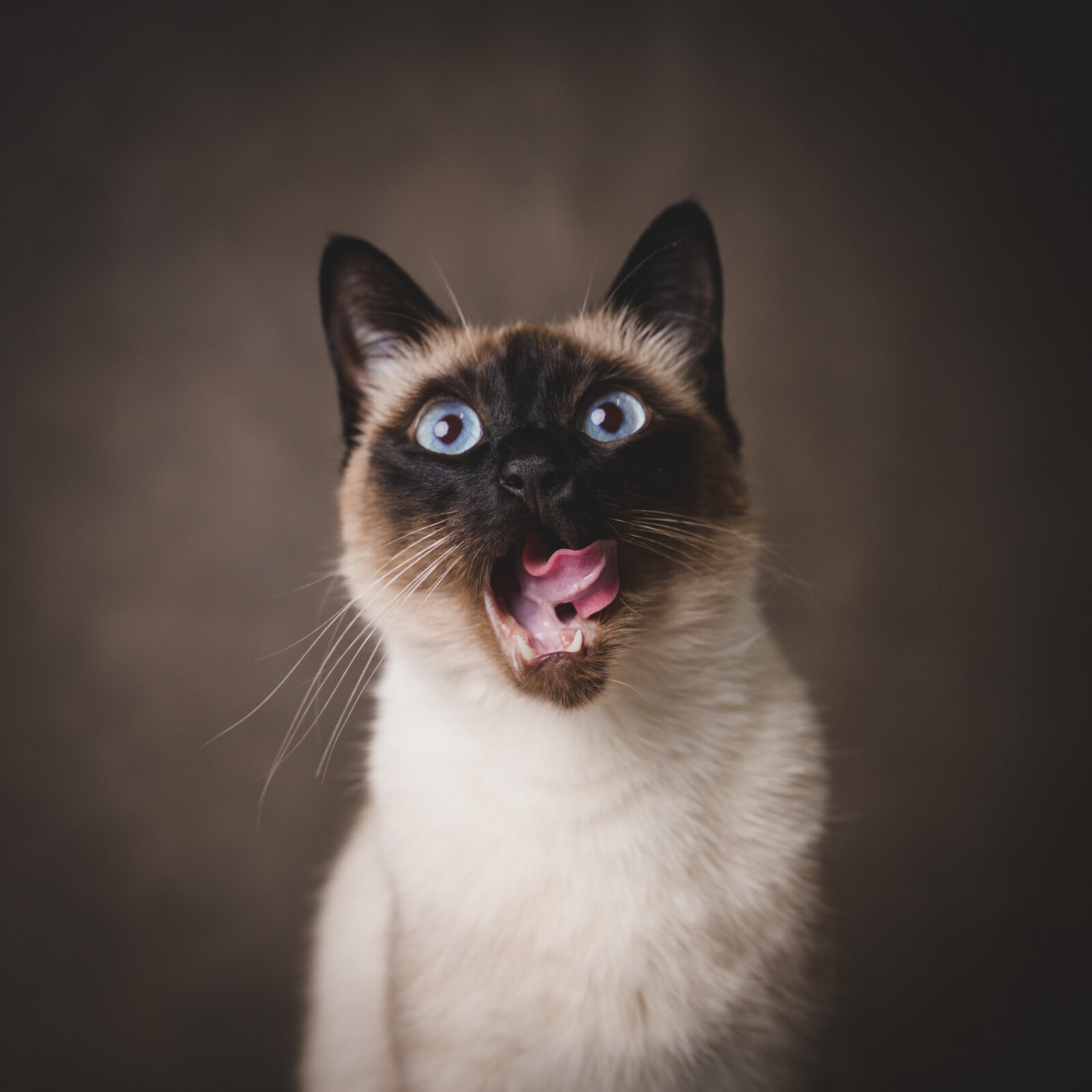 MiniAnna2022-MeganMullins-CharlieSherlock-5850srgb-23000px