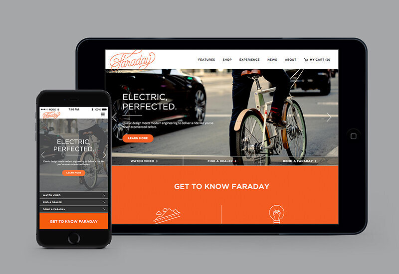 Faraday_web