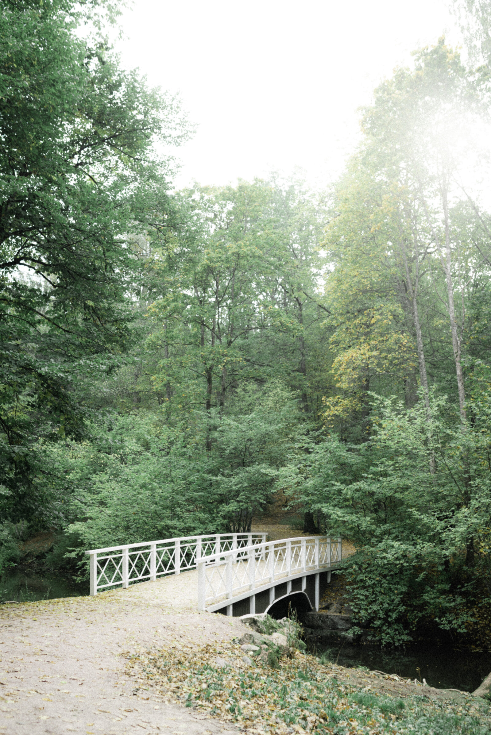 Puinen valkoinen silta ylittää joen puistossa.