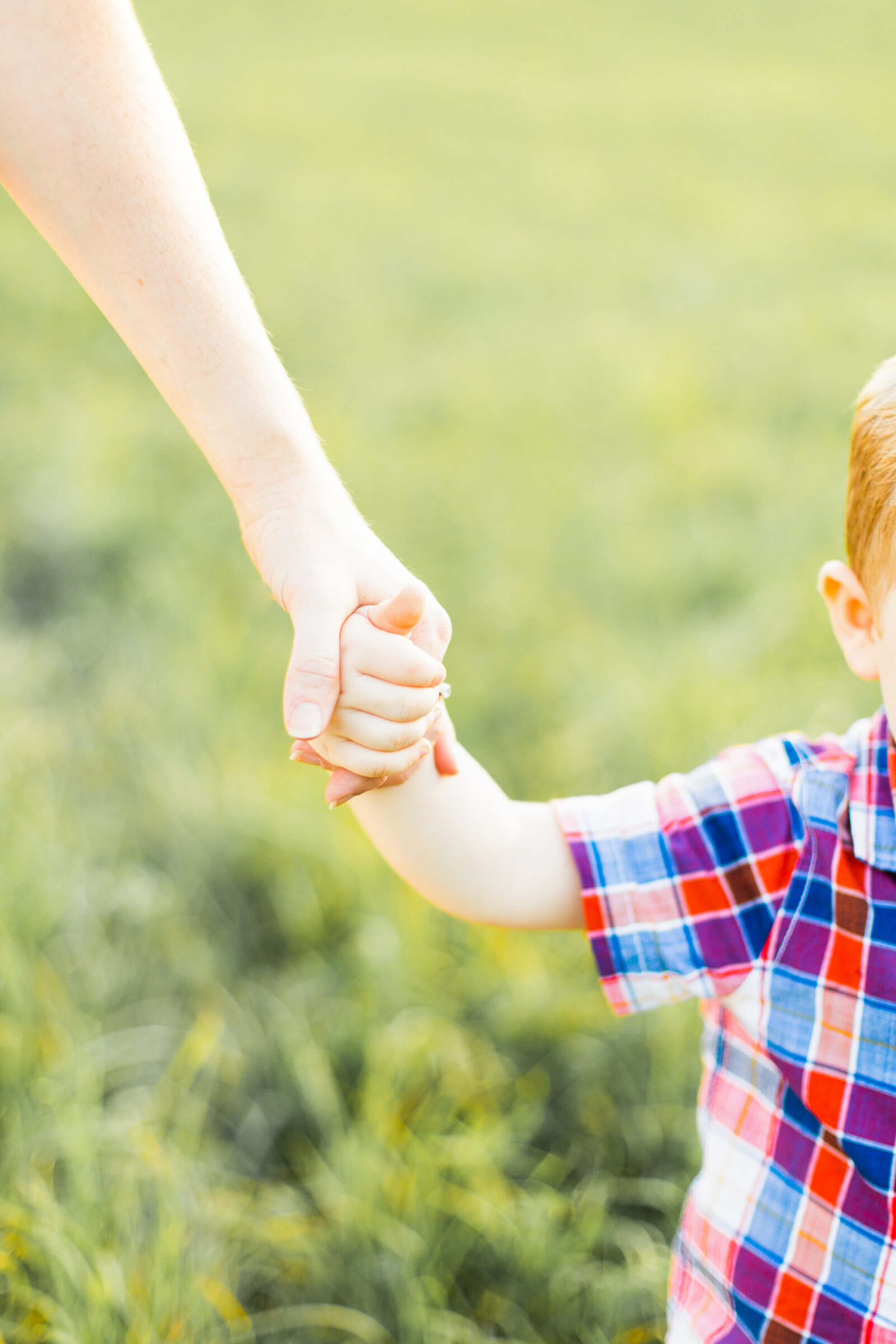 Harting Family-Abigail Edmons Photography-Fort Wayne Indiana-6