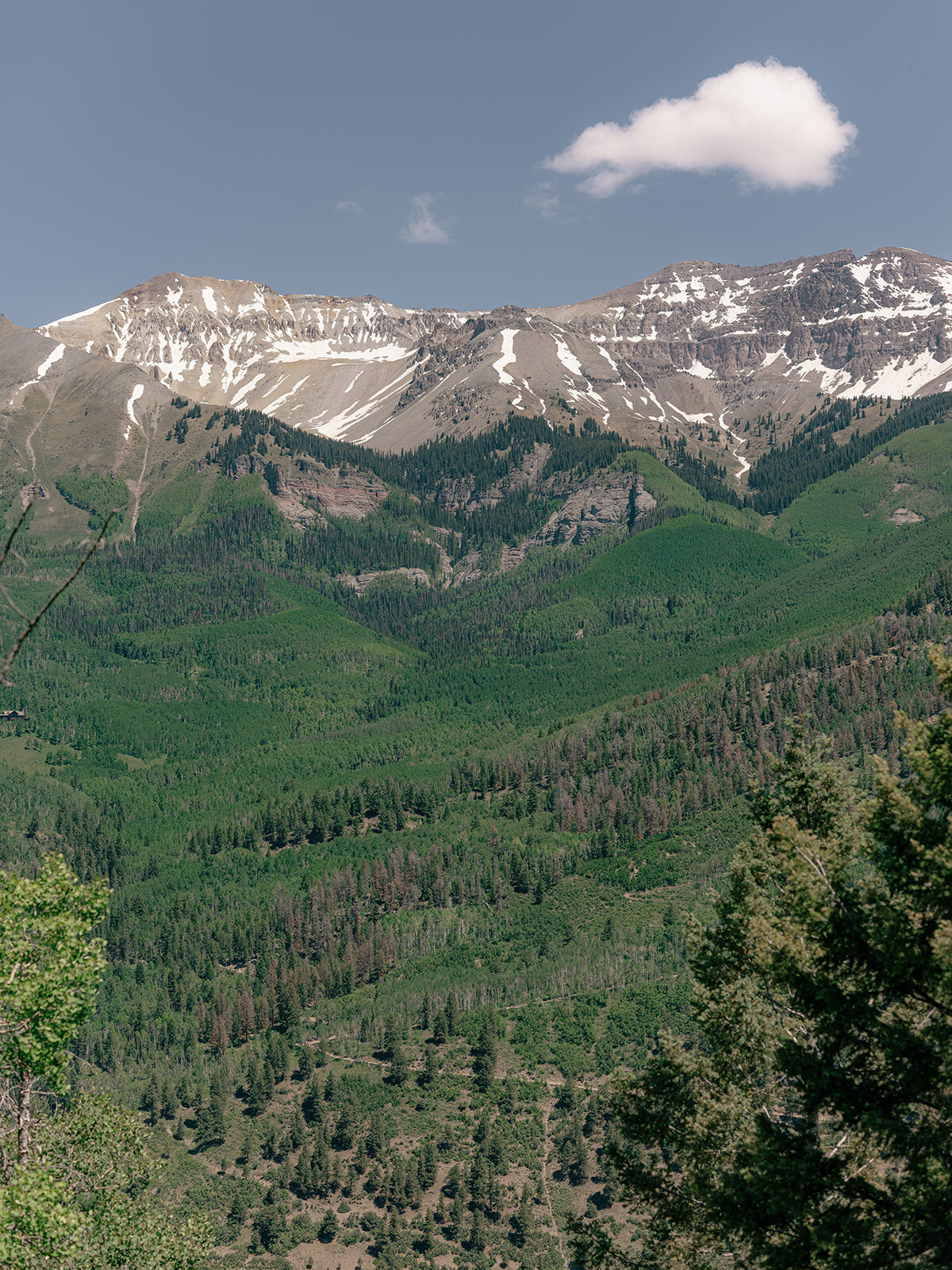 Telluride Wedding Photographer-Wedding--901