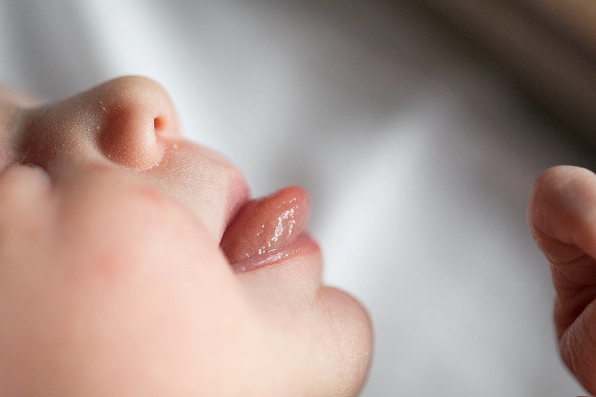 graham-fresh48044 copy (1)