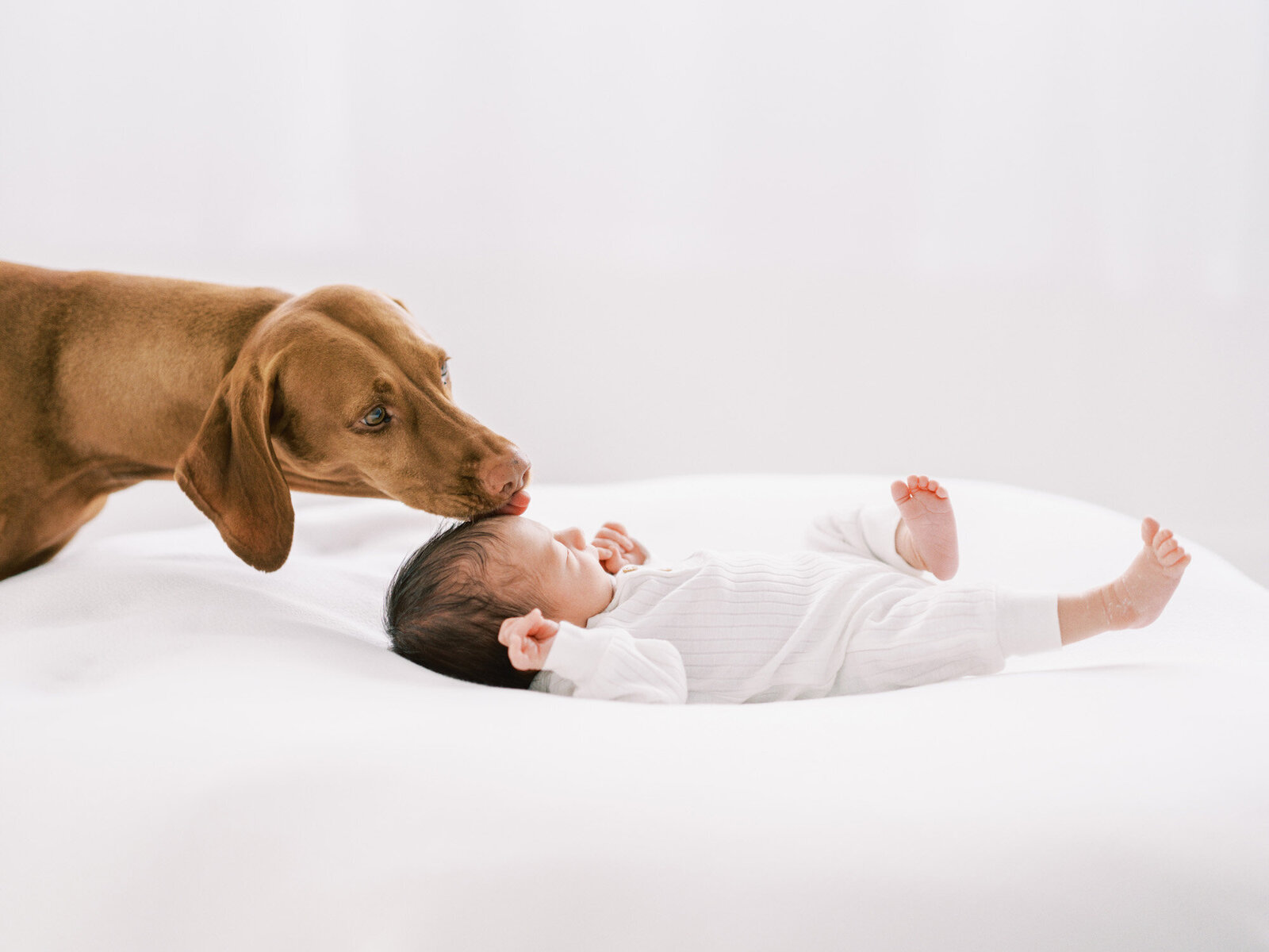 newborn-portraits_070