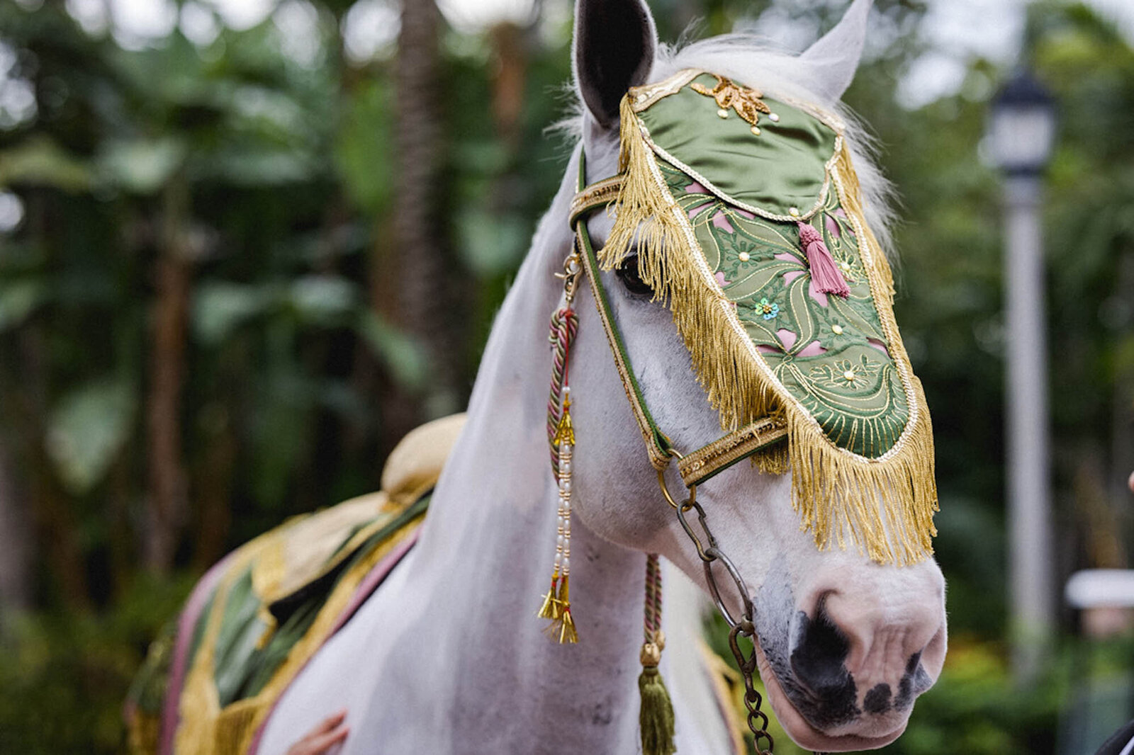 sikh-wedding-the-breakers-eventrics-26