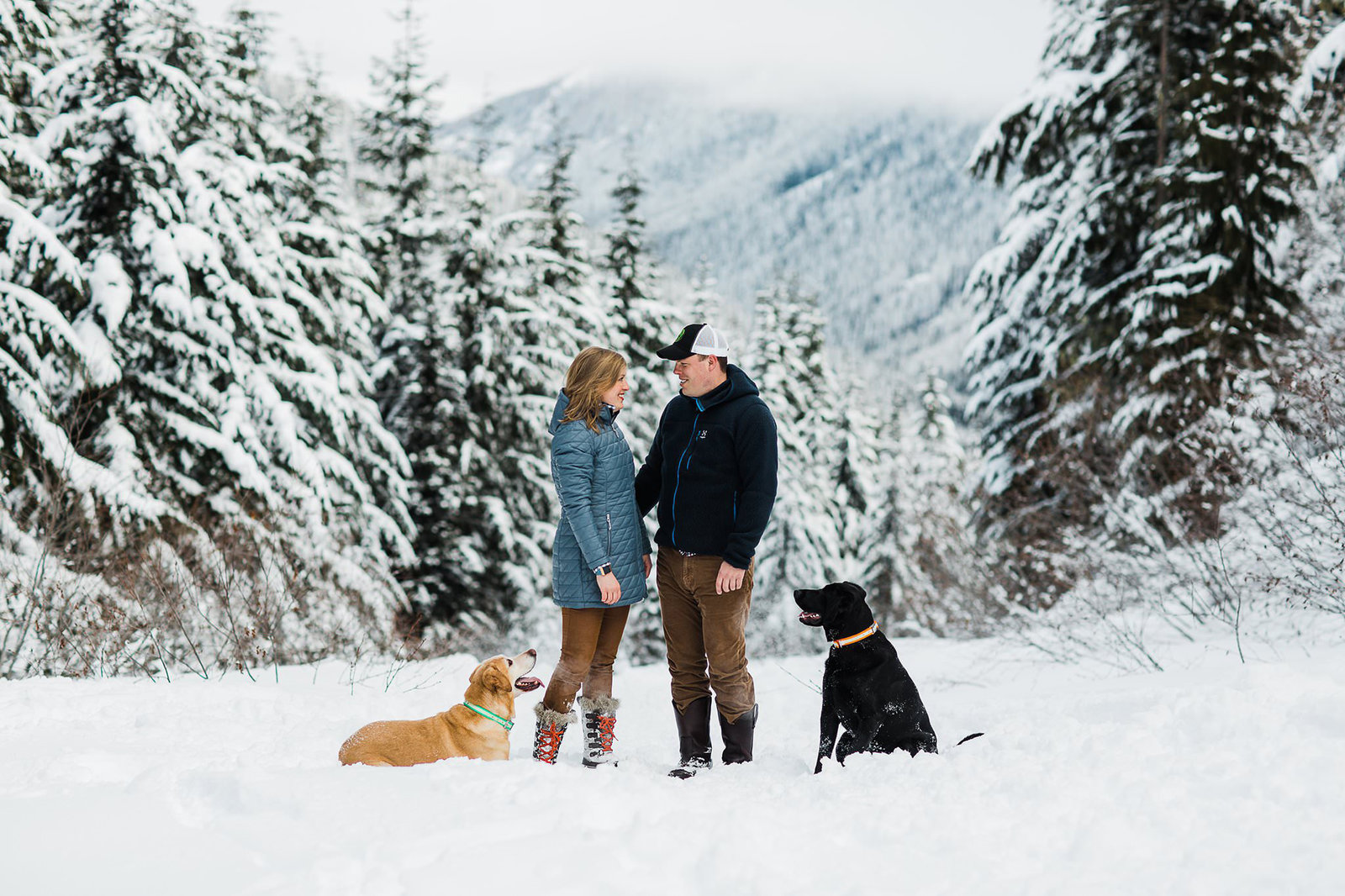 a couple takes their dogs for a walk during their adventurous engagement session at crystal mountain with mountain elopement photographer amy galbraith