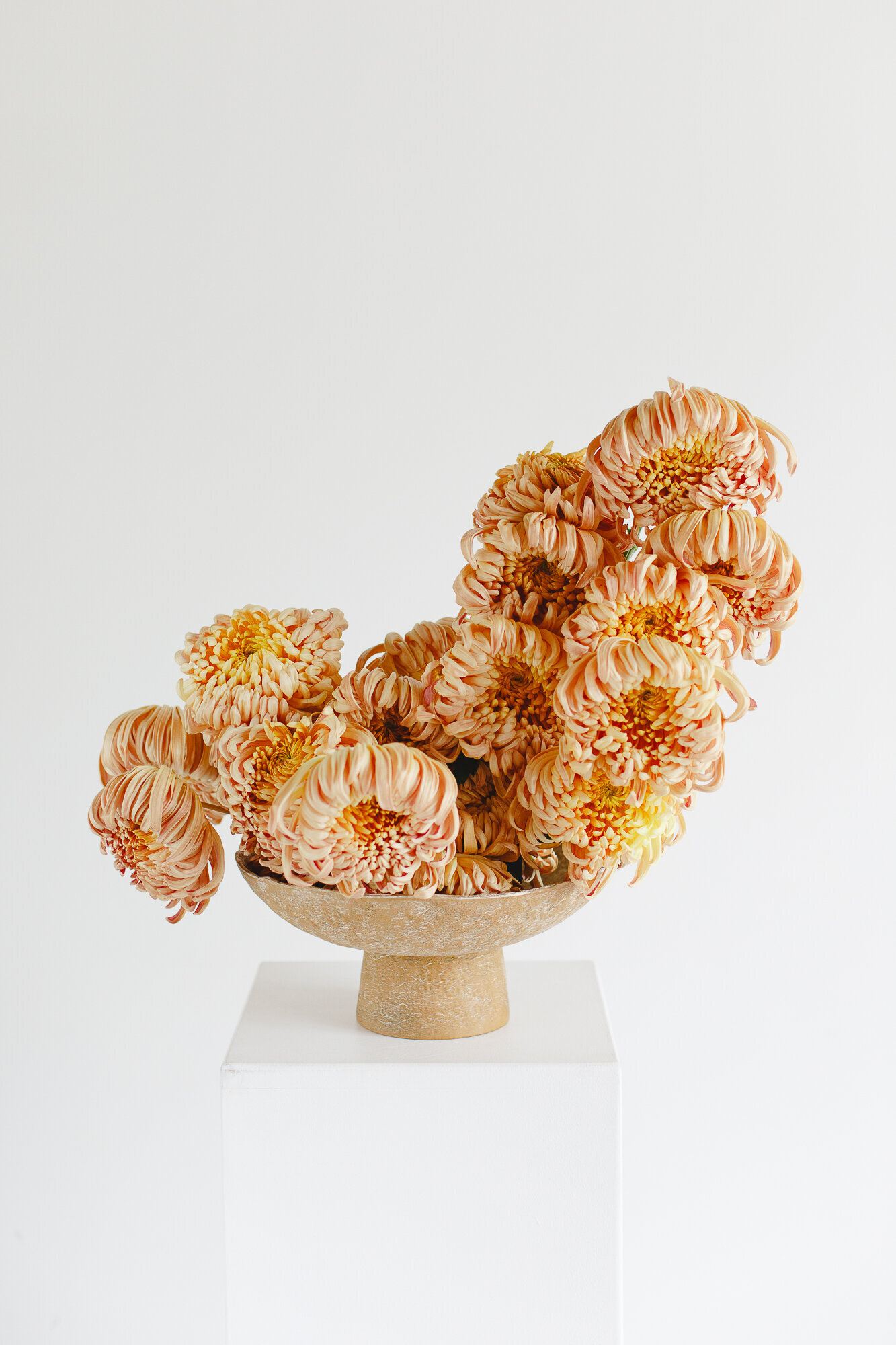 classesflorales_worshop_conceptcollectif_6