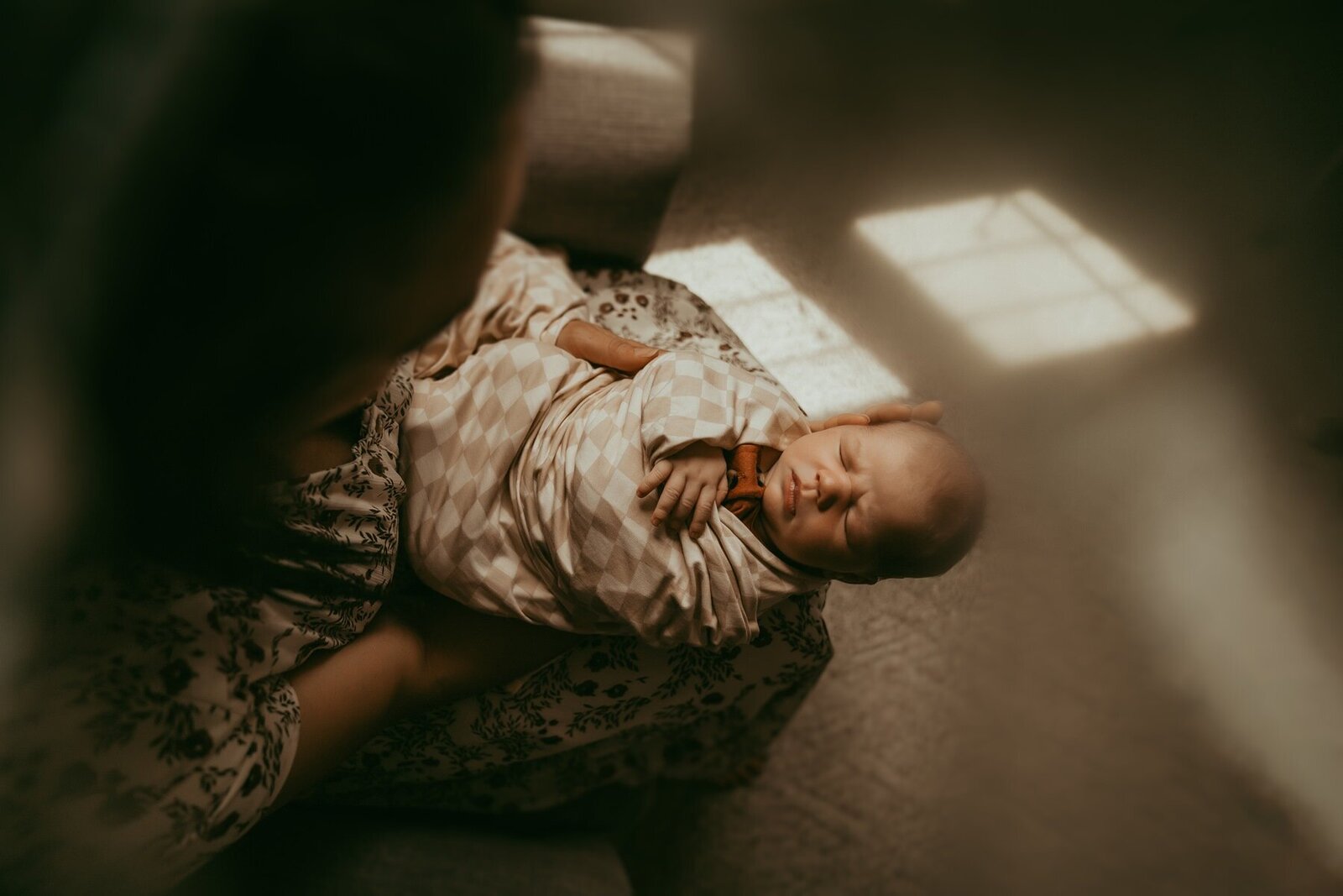 Michigan maternity photographer 041