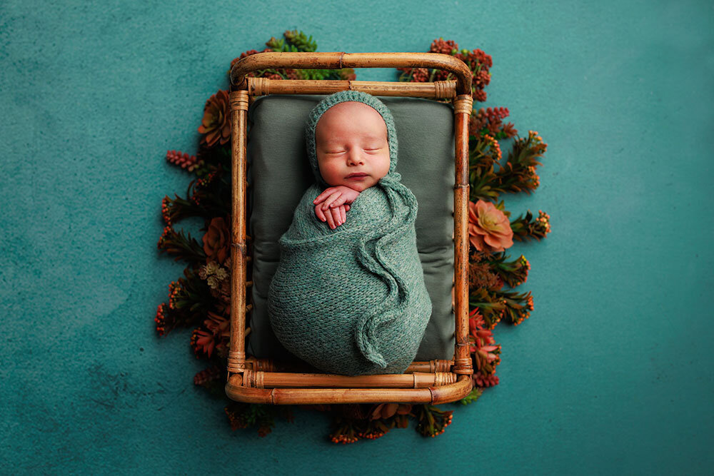 newborn-baby-turquoise-aqua-succlents-bamboo-bed-creative-colorful-baby-photographer-best