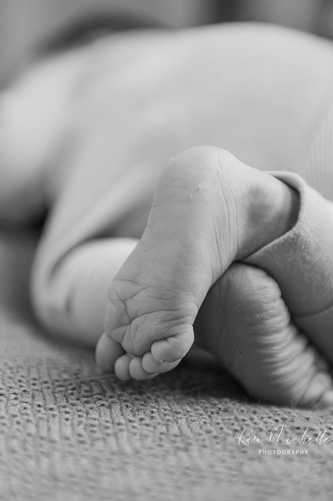 newborn-photographer-york-pa-baby-feet