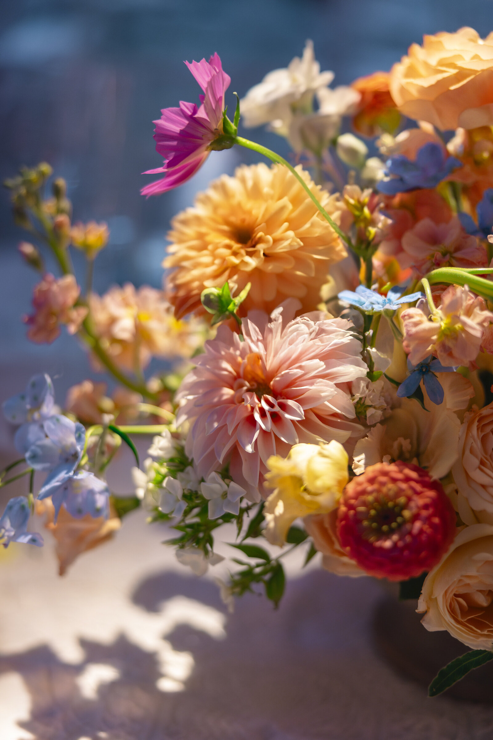 A vibrant bouquet featuring dahlias, roses, and other assorted flowers in shades of peach, pink, and blue, illuminated by warm sunlight against a soft background.