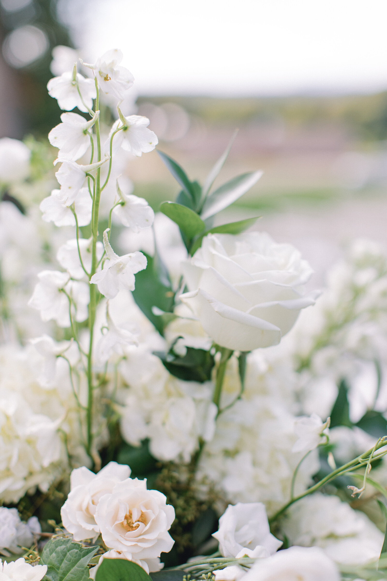 KushnerWedding_E94A7114