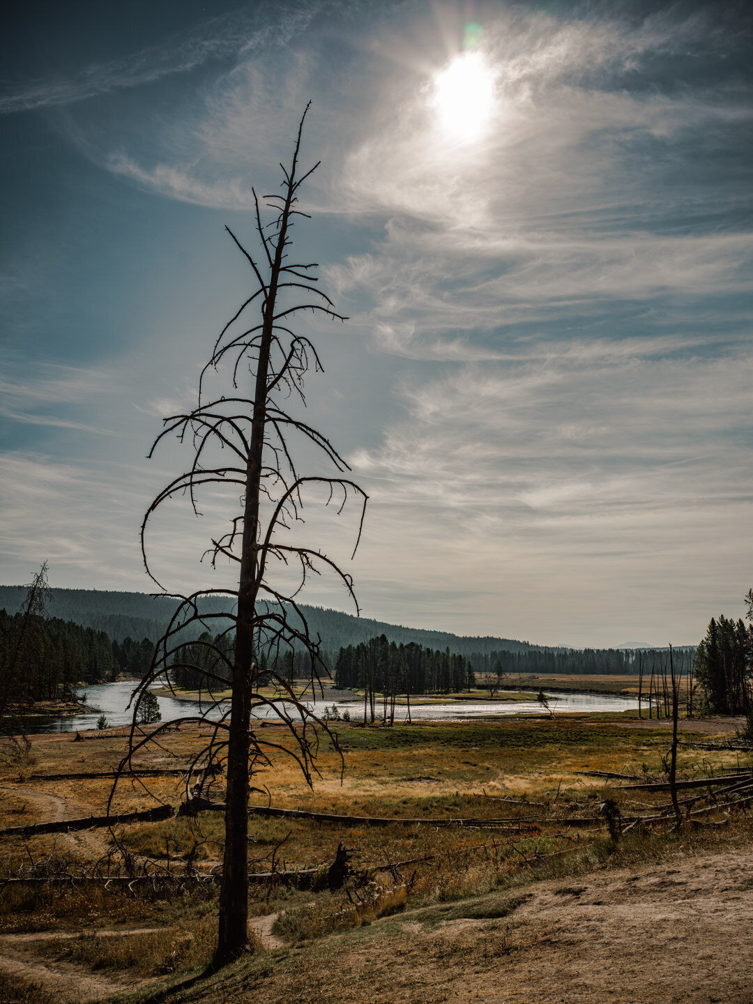 Resolute Territory - Landscape Art Prints - 14