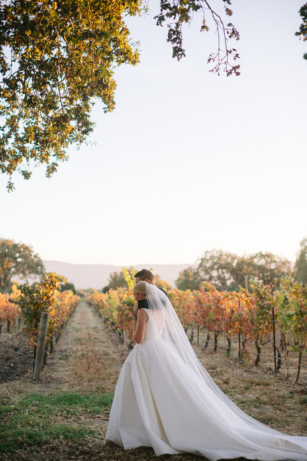 erica streelman santa ynez wedding photographer28