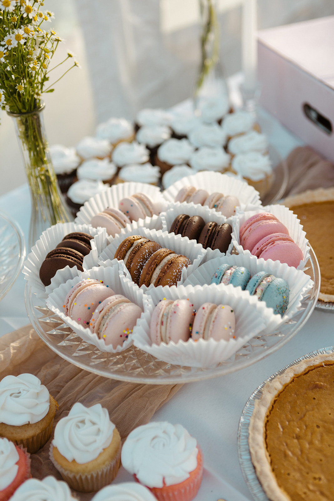 SarahMillikanPhotography-0449_websize