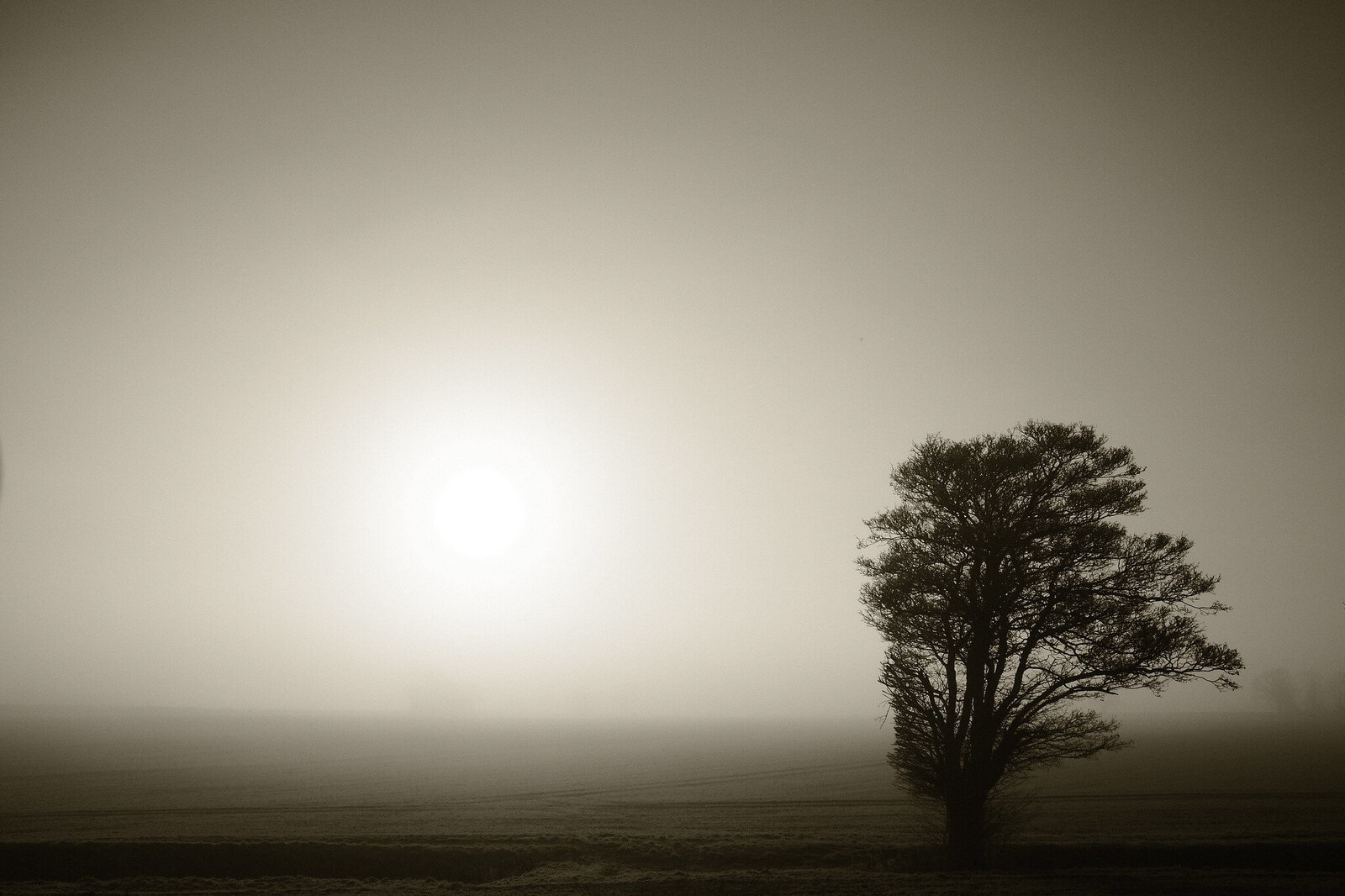 Landscape Photography Norfolk