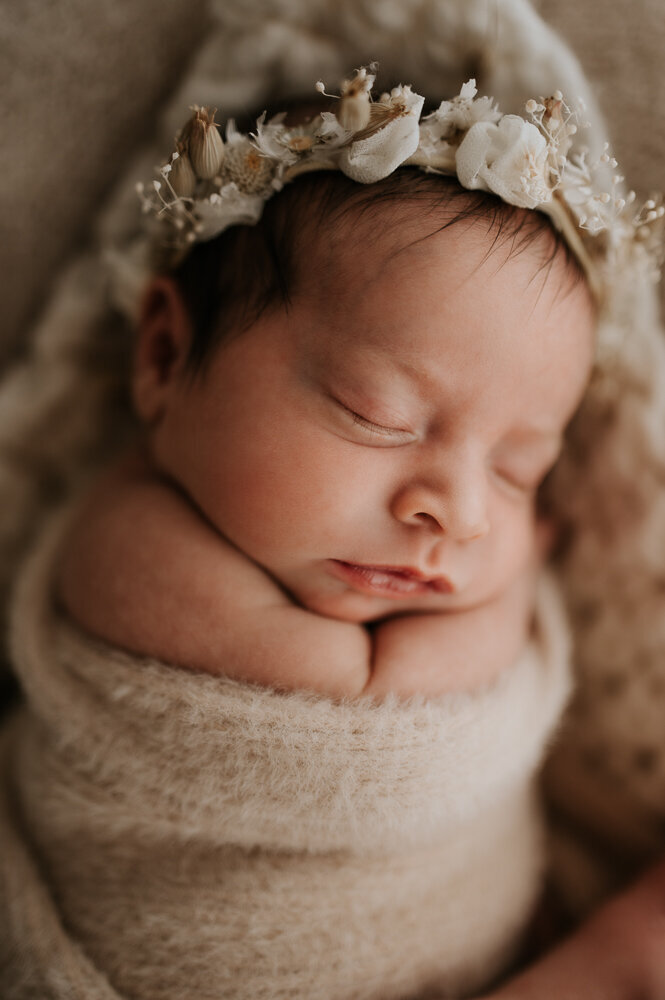 Sydney Newborn Photographer newborn photo image -58