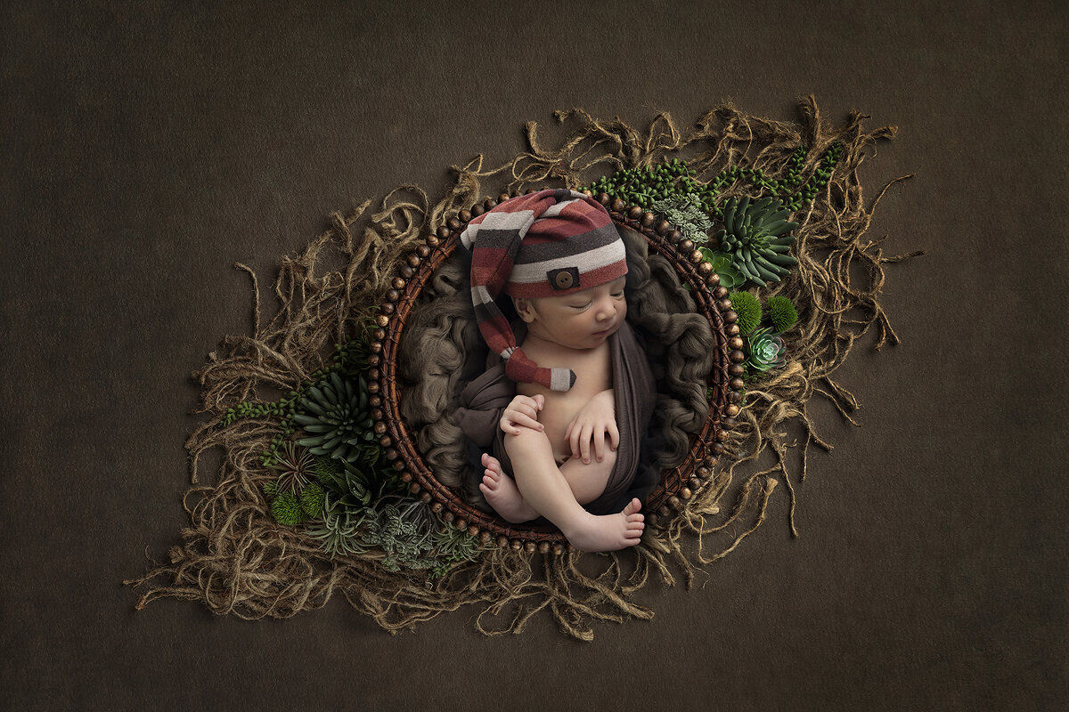 Newborn boy posed in a basket by Dahlias and Daisies Photography.