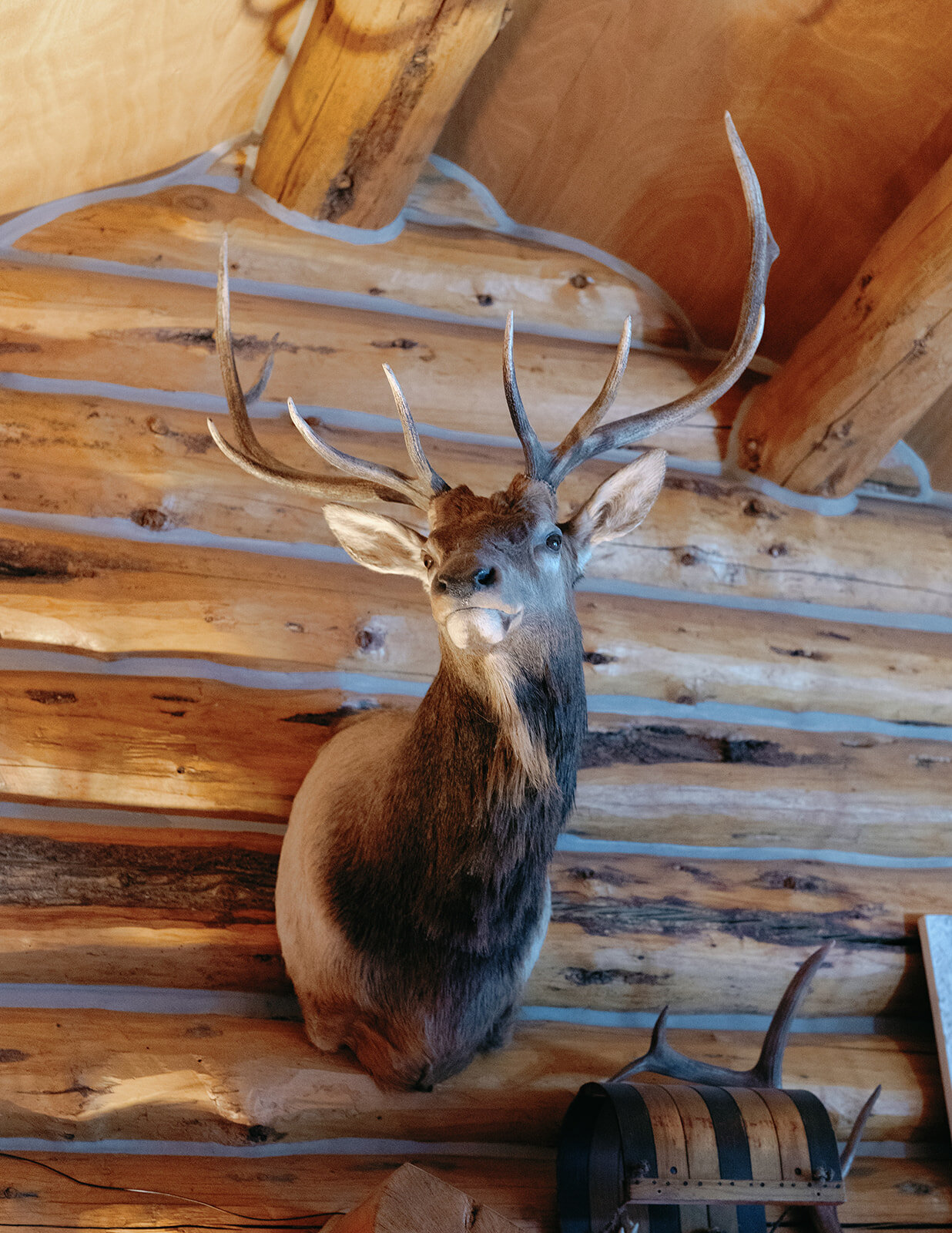 Pine Creek Cookhouse Wedding Aspen Colorado-Wedding Gallery-Carrie King Photographer-1596