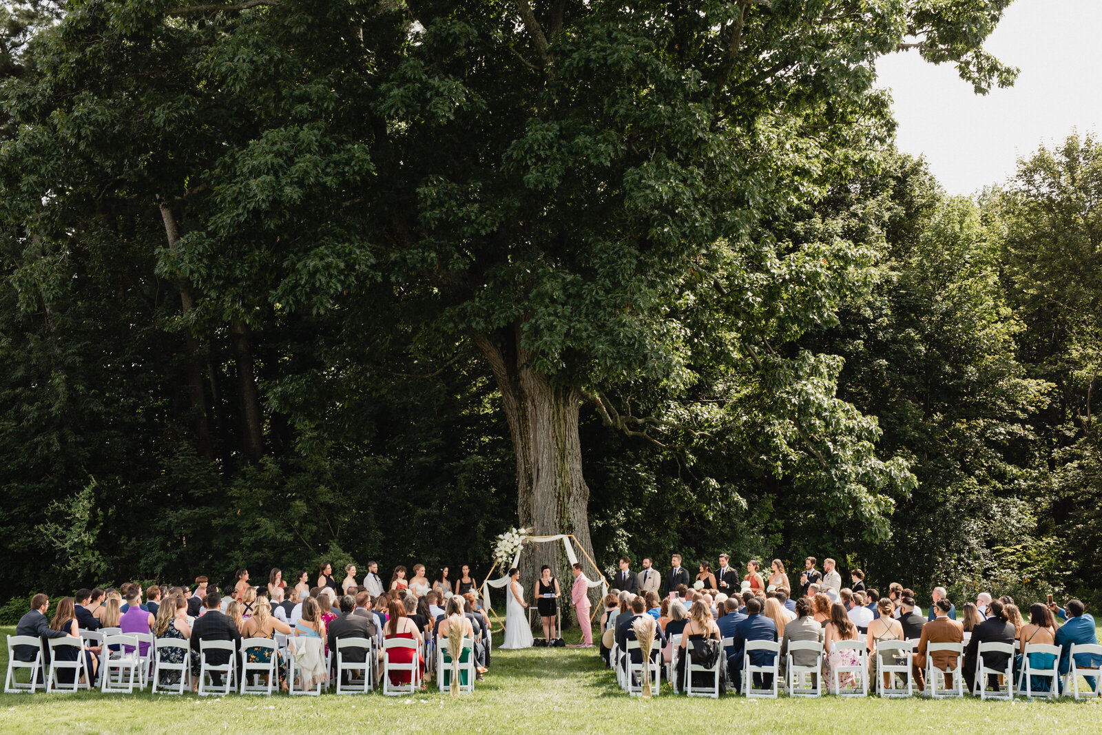 ceremony with guests outside under a large oak tree