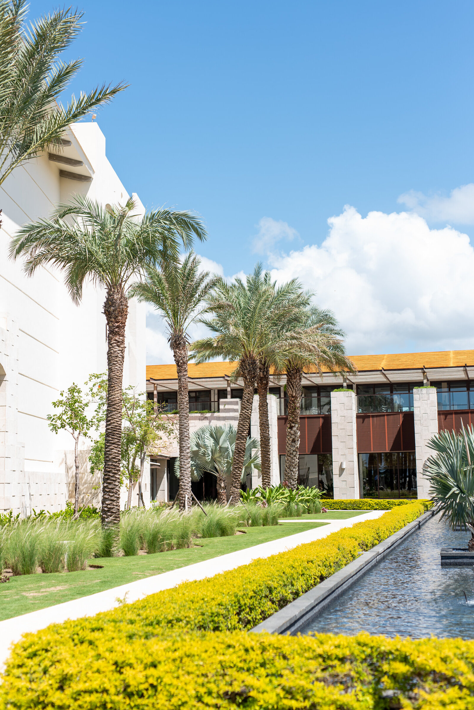 outdoor beach wedding