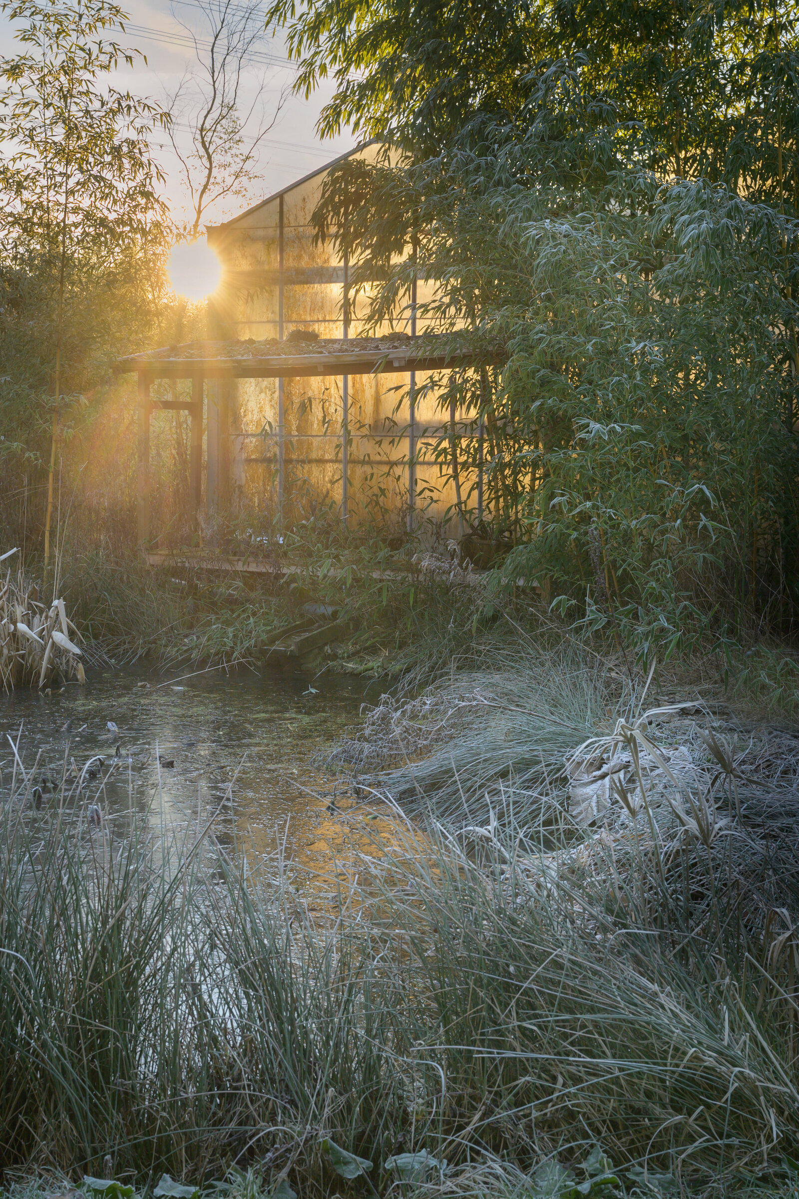 Magazine fotograaf | Trui Heinhuis Fotografie