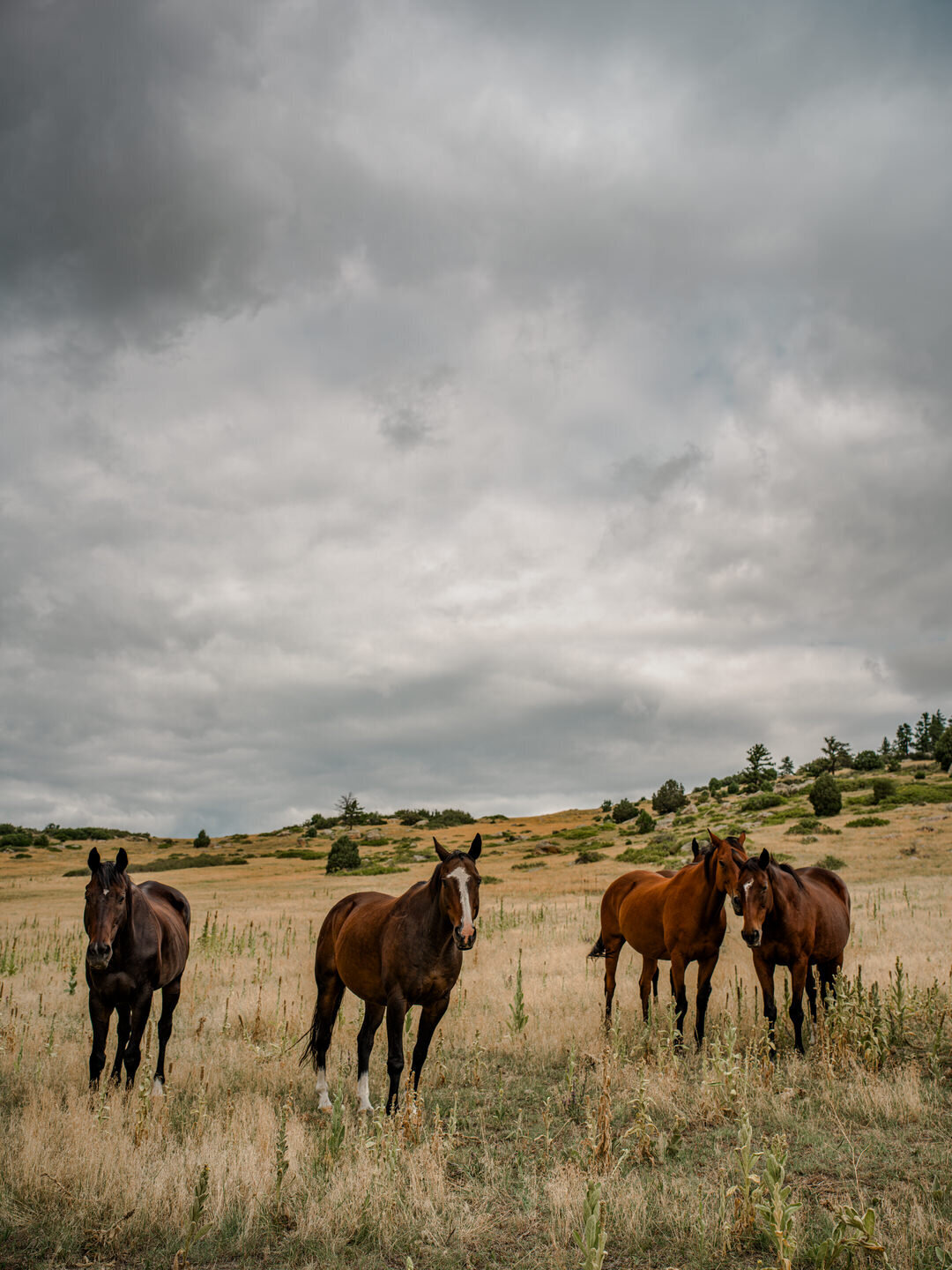 Resolute Territory - Landscape Art Prints - 10