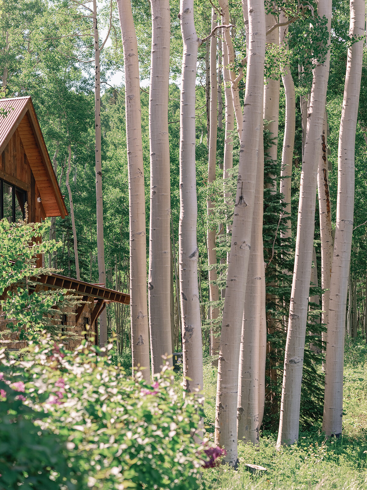 Summer Telluride Wedding Photographer-Wedding--266_websize