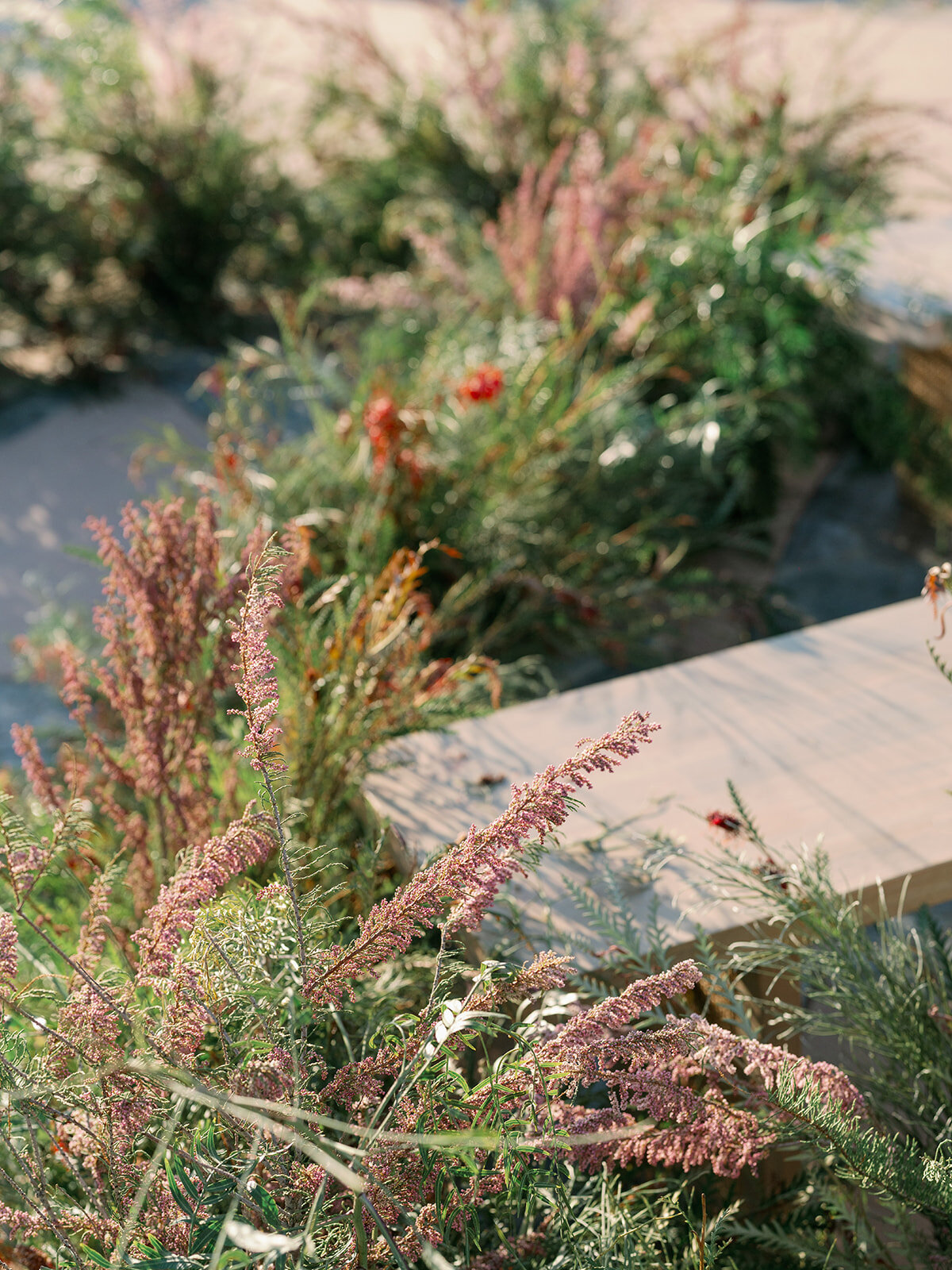 Stone Mountain Estates-Liz Andolina Photography-42