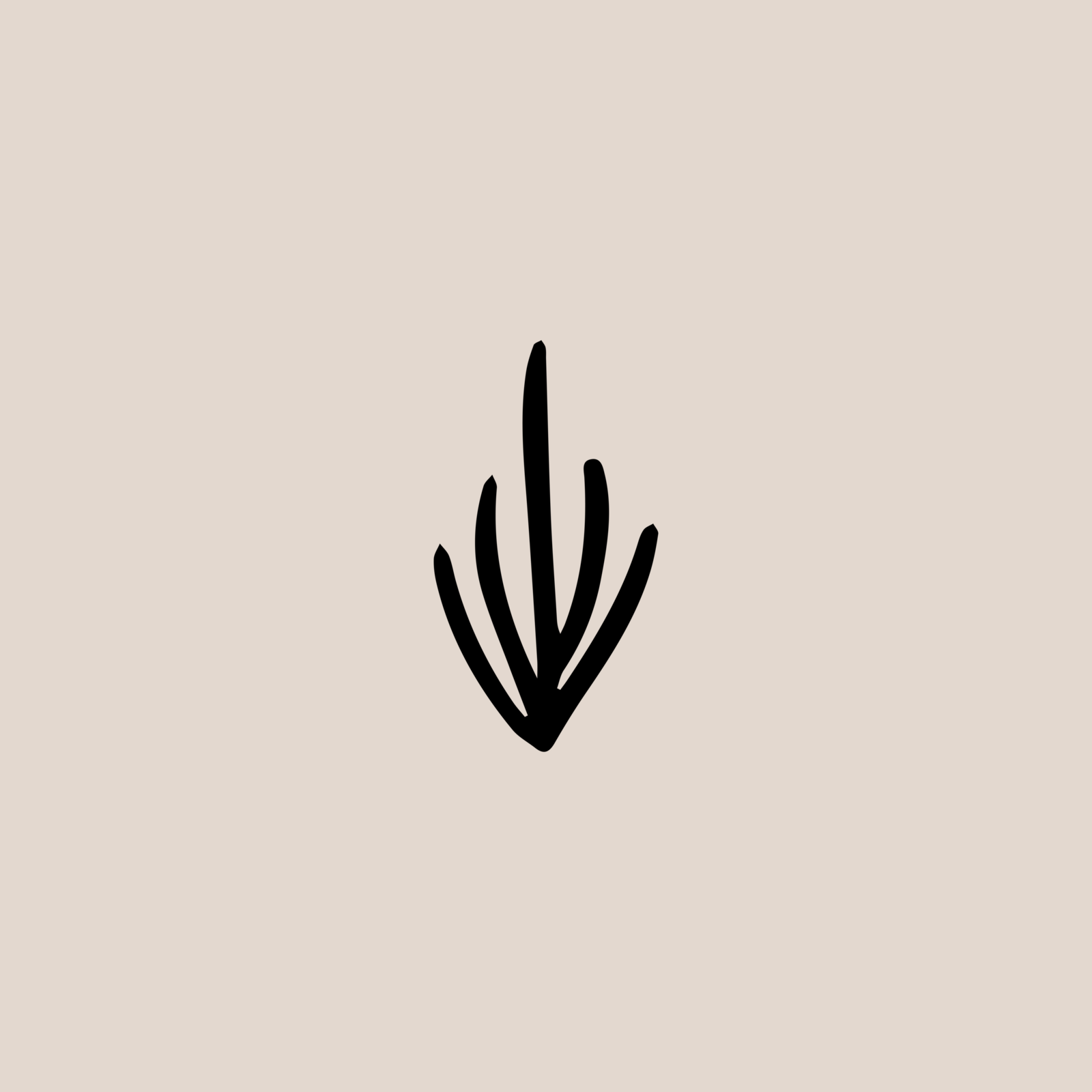palm illu5