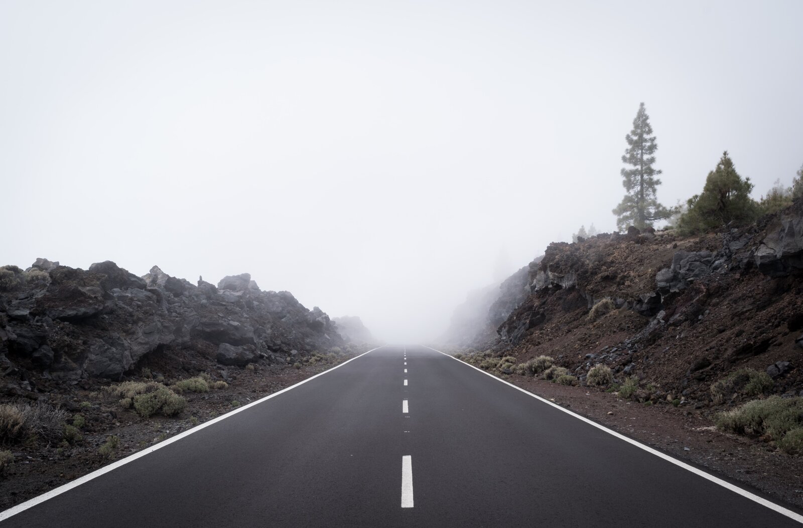 alberto-frias-olw0cp3VJV4-unsplash