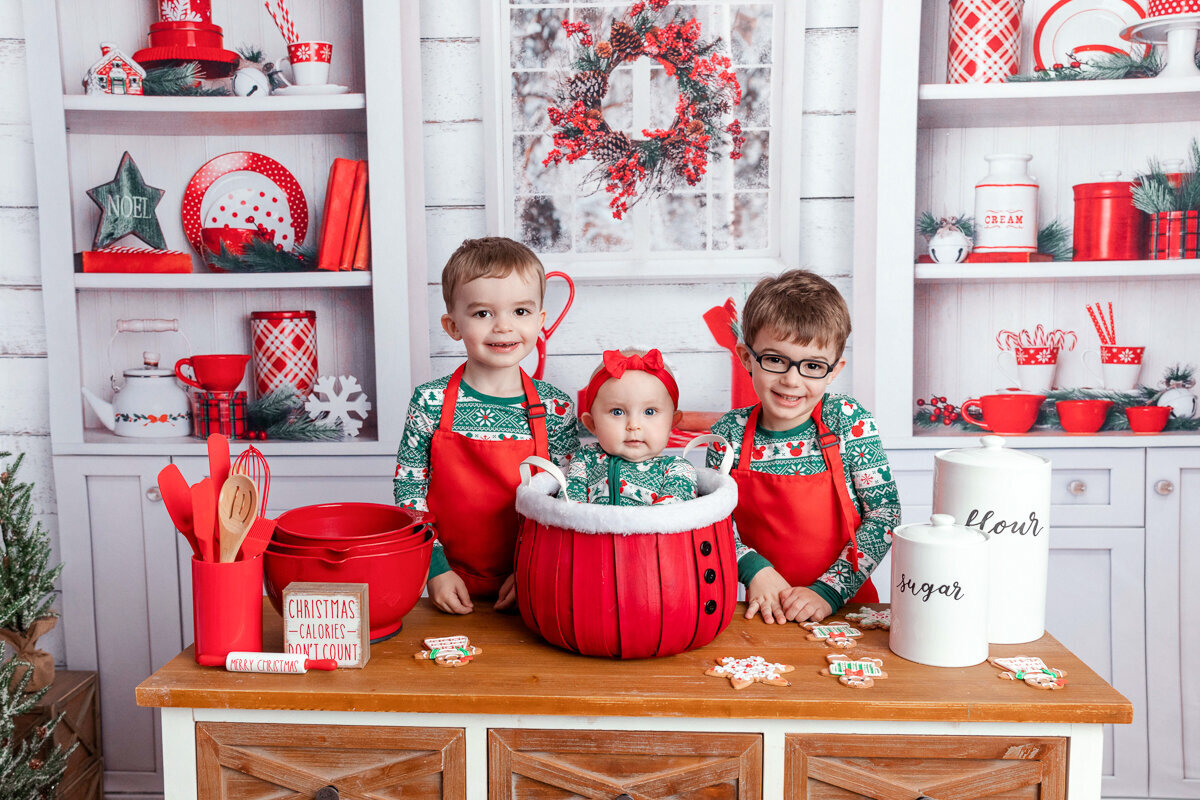 new-jersey-christmas-minis-18