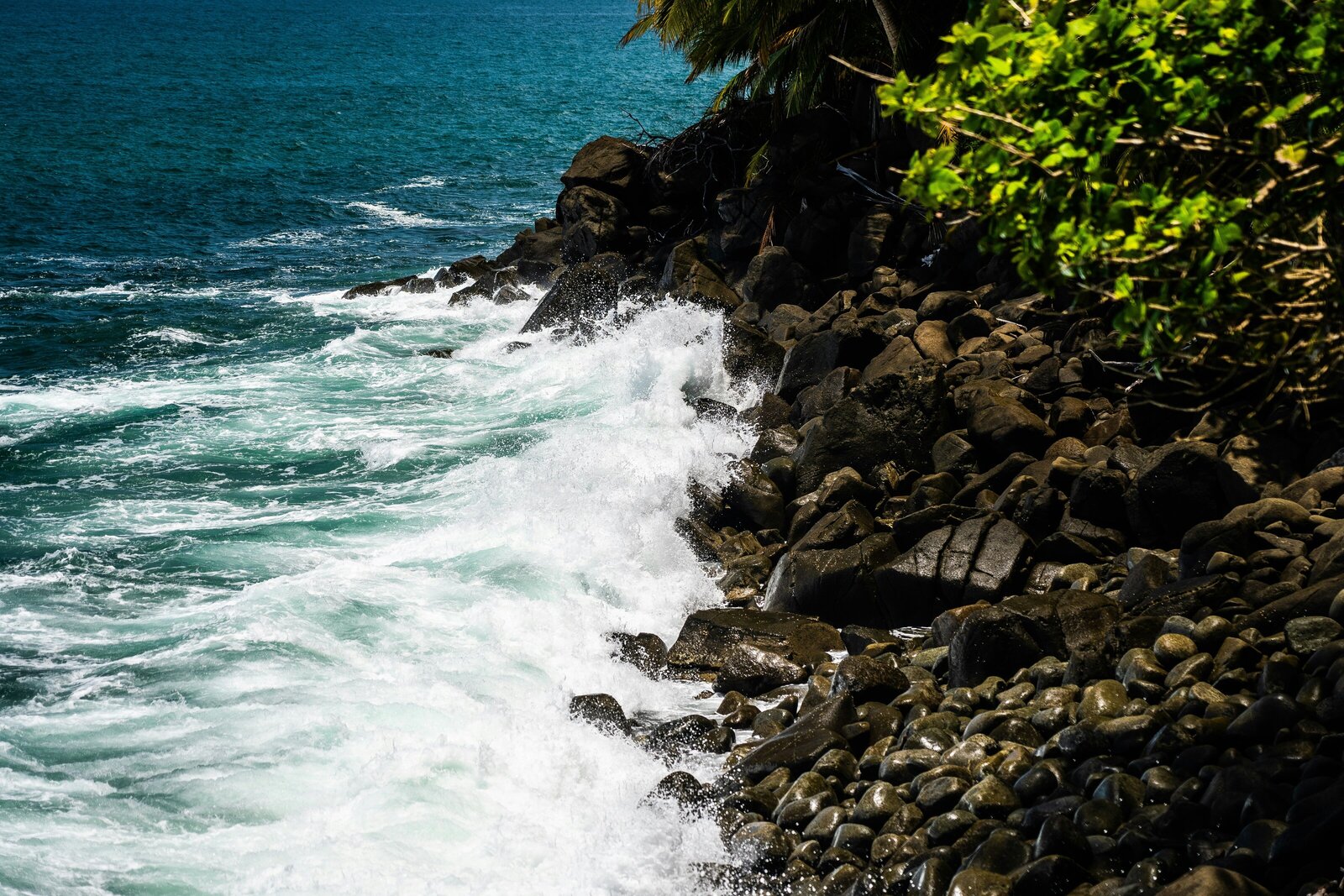 eelco-bohtlingk-X1lgz_Q6pGI-unsplash