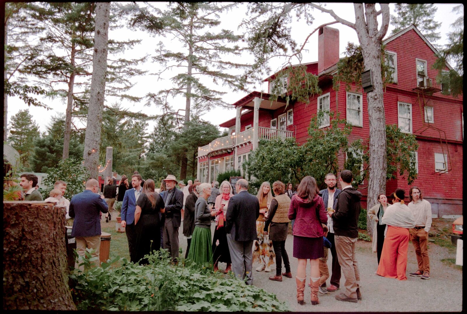Jess-Buckley-Photo-FILM-Wedding-Coast-Lodge-40