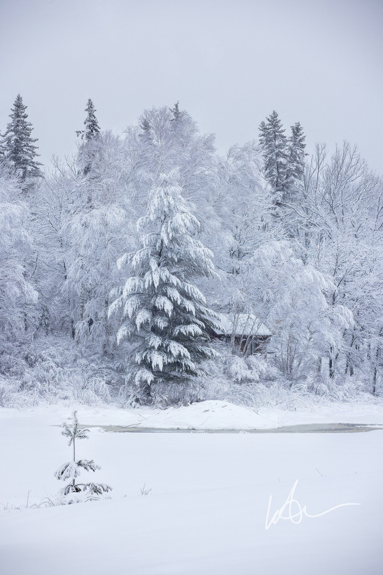 Winters Beauty Akeley Minnesota