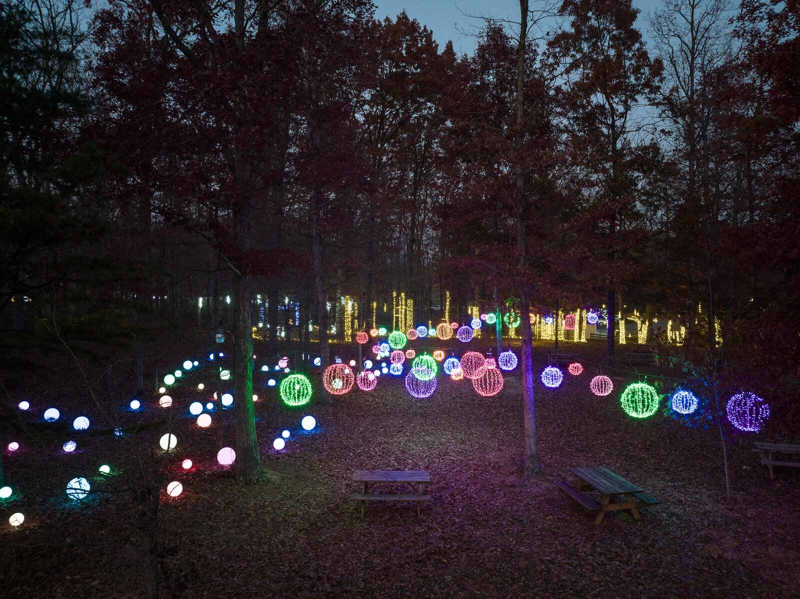 veritas illuminated nov2023 JackLooney-0041