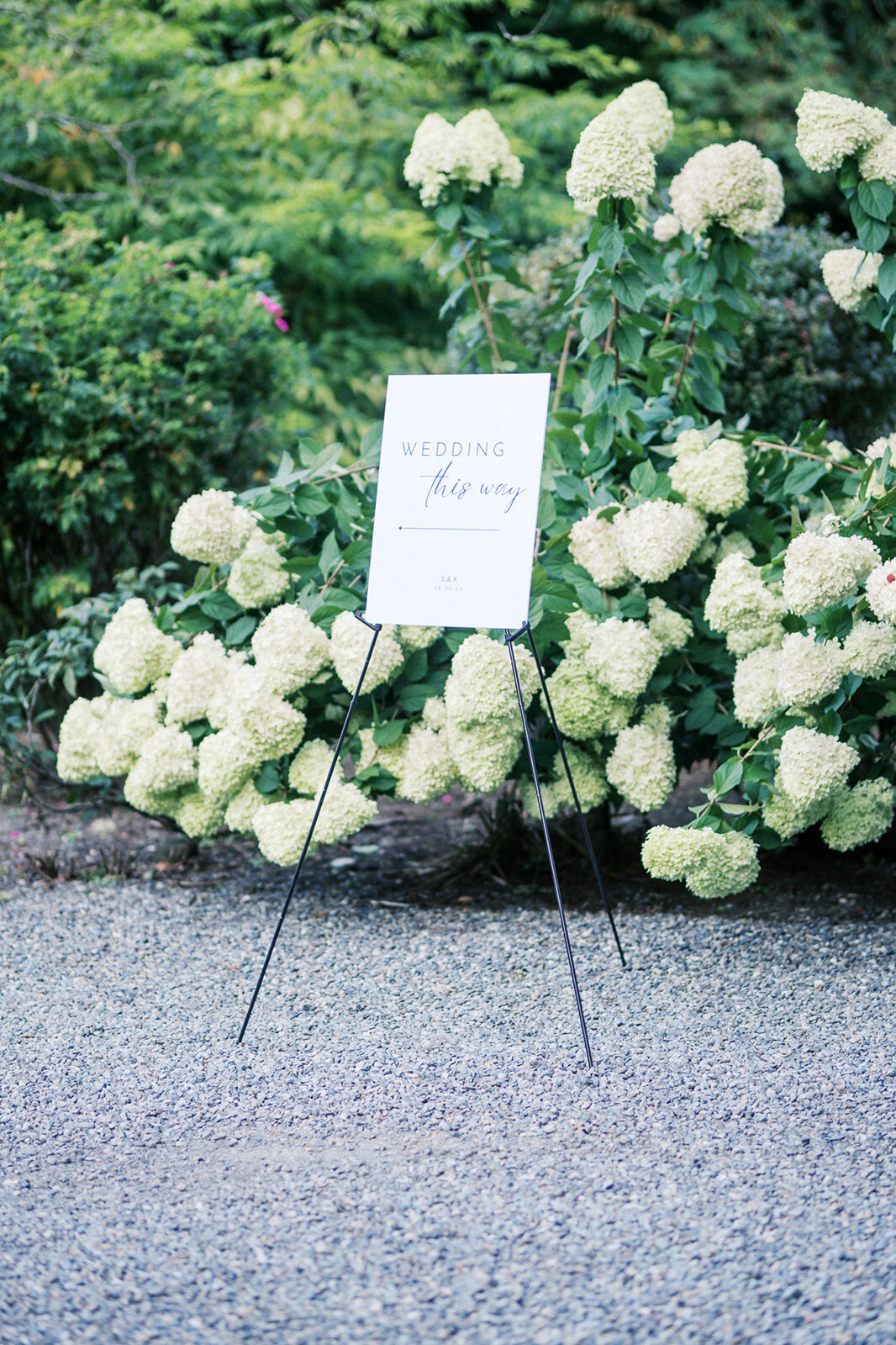 DSC08554_websize