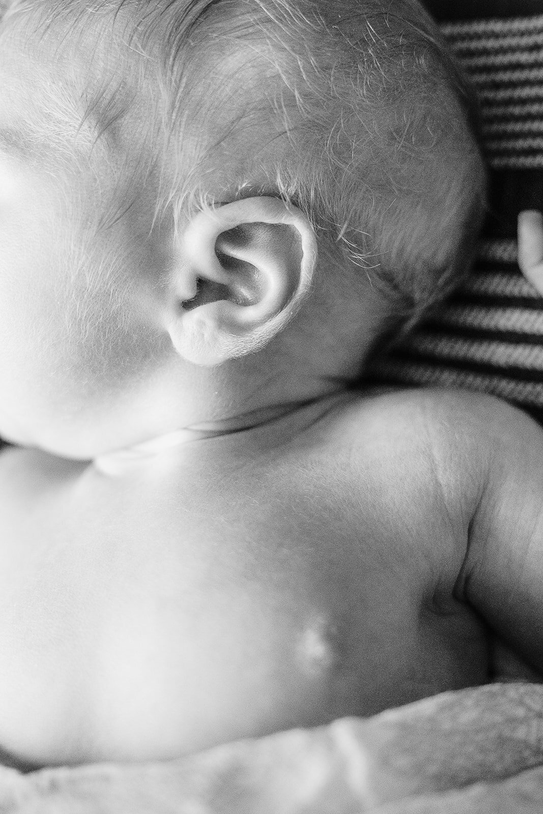 black and white close up of a newborn ear