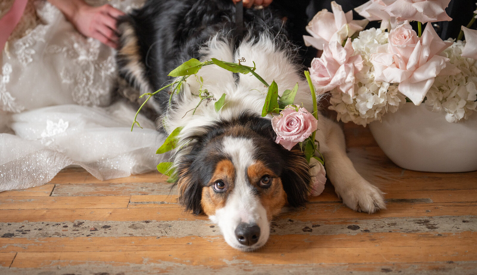 dog lays on ground surrounded by wedding bouquets
