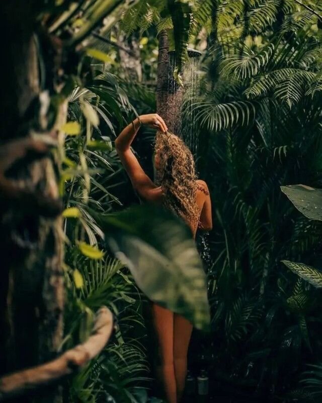 Jungle