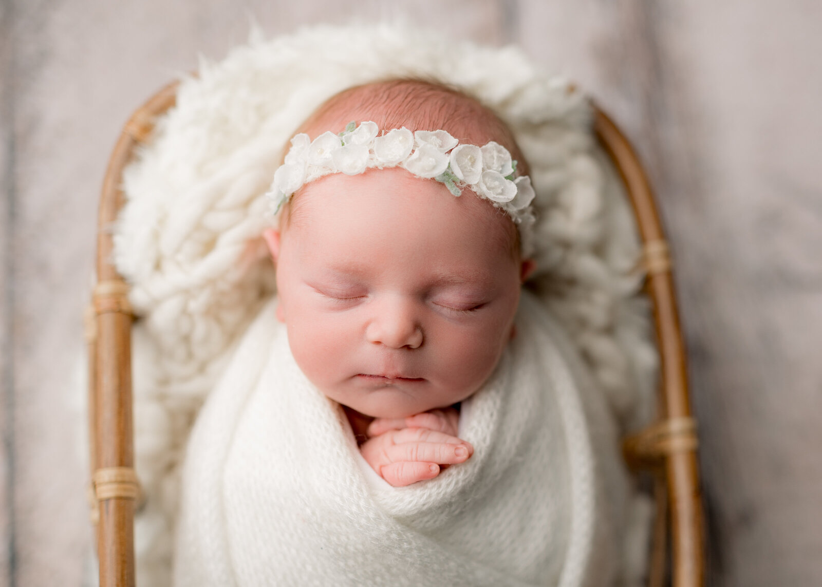 boston-newborn-photographer-503