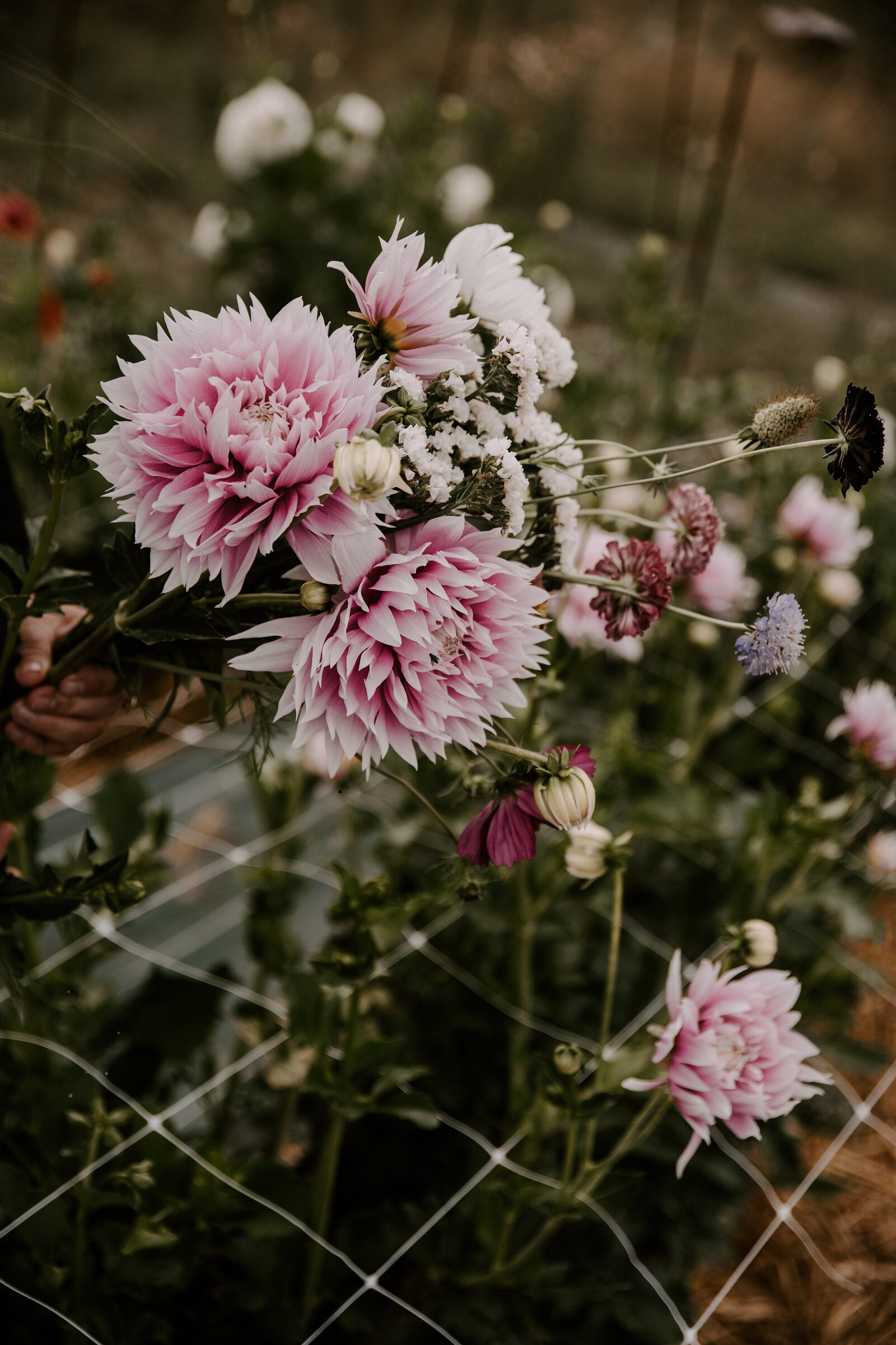 classesflorale_worshop_fermeflorale_9