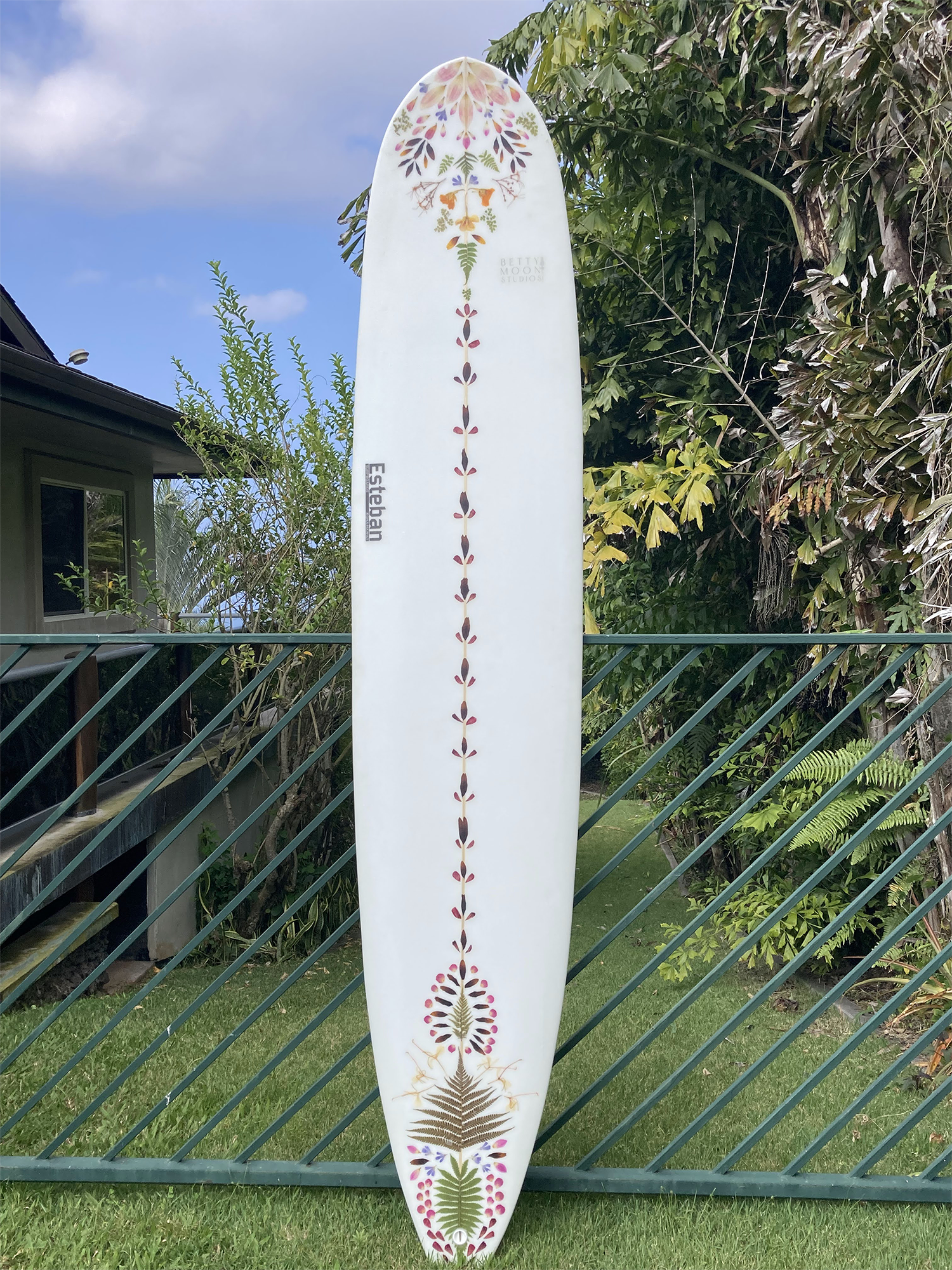 erikas longboard front