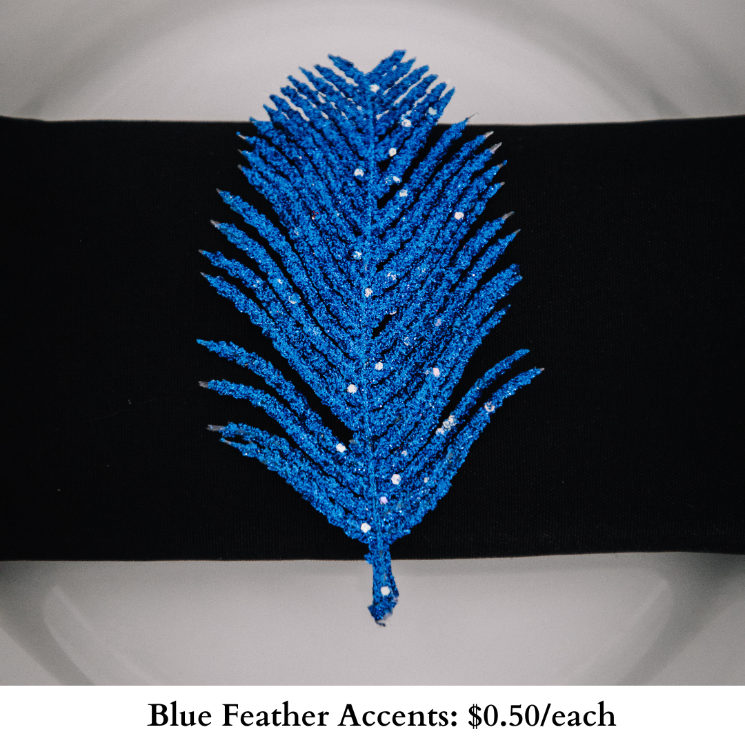 Blue Feather Accents-519