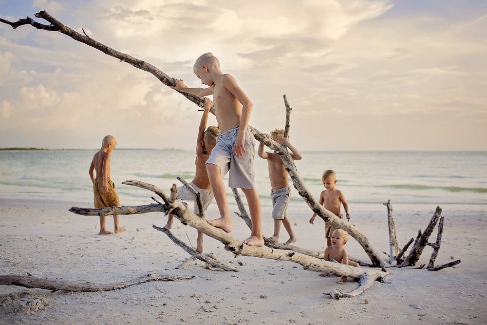 ocean-driftwood-family-photography