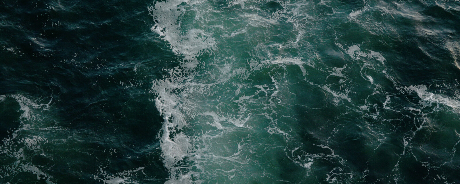 Selects.00_27_24_01.Still042