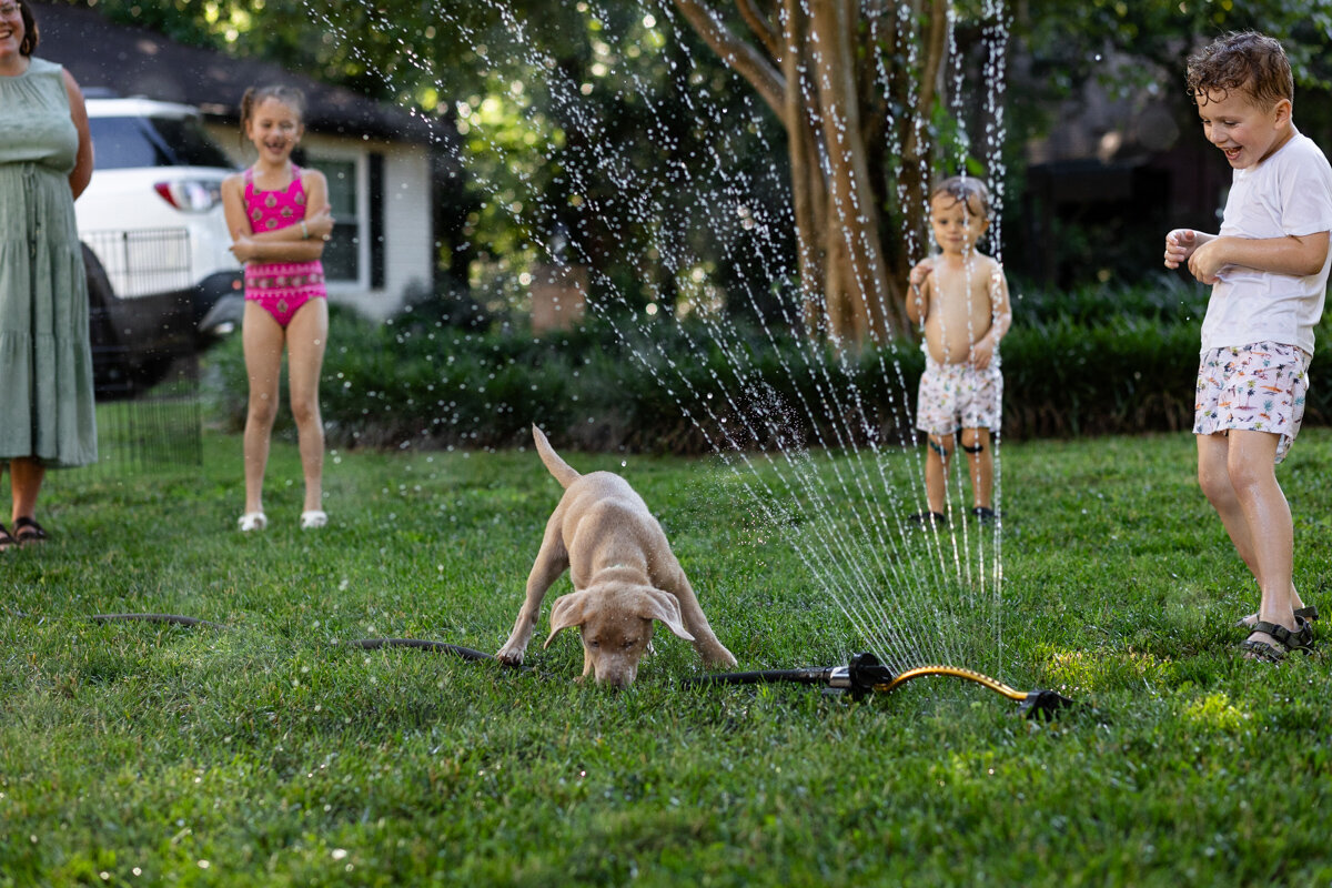 LightCreative_202405_HannahAlex_SummerMiniSessions_RaleighDocumentaryFamilyPhotographer_035_blog