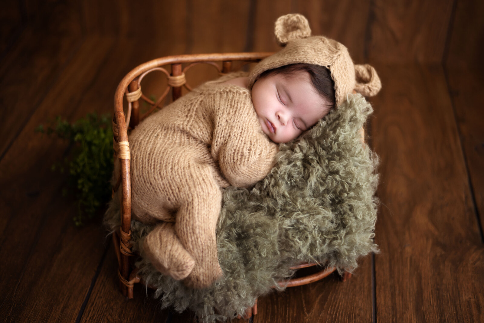 Newborn photographer utah county bear green newborn posing tips brown bear natural light studio